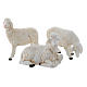 Pecorelle per presepe set da 3 pezzi 40-45 cm s1