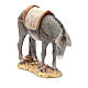 Donkey 15 cm, Moranduzzo Nativity Scene s2