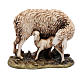 Schaf und Lämmchen aus Kunstharz für 15 cm Krippe von Moranduzzo s1