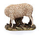 Schaf und Lämmchen aus Kunstharz für 15 cm Krippe von Moranduzzo s3