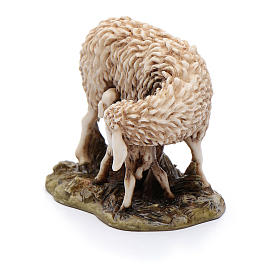 Ovelha e cordeiro 6 cm resina para Presépio Moranduzzo com figuras de altura média 15 cm