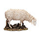 Weidendes Schaf aus Kunstharz für 15 cm Krippe von Moranduzzo s1