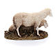 Grupo 2 ovelhas 9,5x14x9,5 cm resina para Presépio Moranduzzo com figuras de altura média 20 cm s3