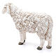 Schaf mit erhobenem Kopf der Linie Martino Landi für 50 cm Krippe s2