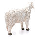 Schaf mit erhobenem Kopf der Linie Martino Landi für 50 cm Krippe s3