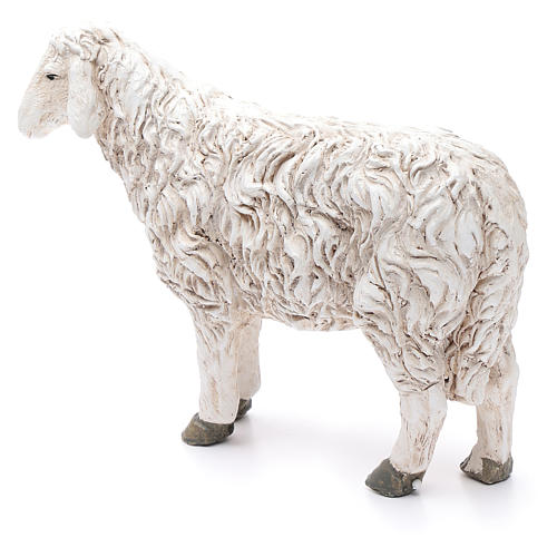 Estatua oveja con cabeza alta Martino Landi para belén 50 cm 2