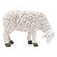Figura owca pasąca się Martino Landi do szopki 50 cm s1