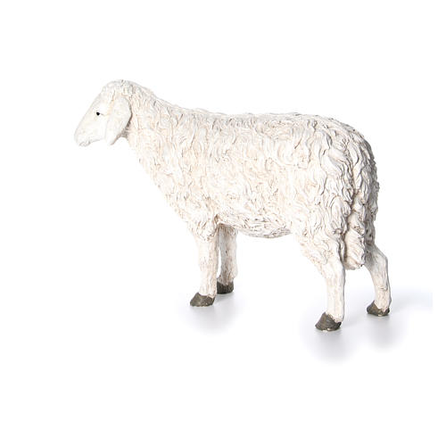 Schaf mit erhobenem Kopf der Linie Martino Landi für 120 cm Krippe 2