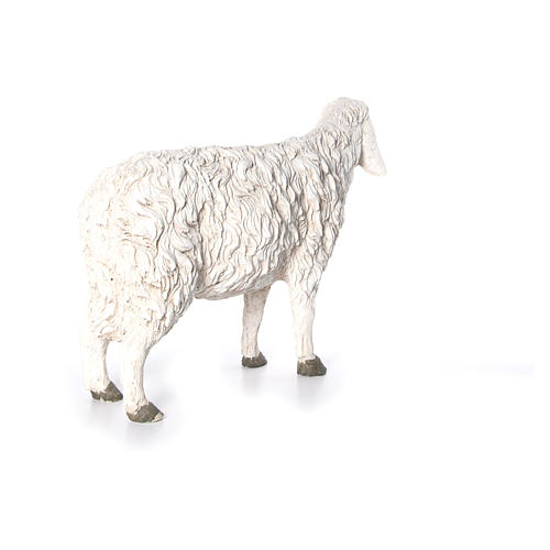 Schaf mit erhobenem Kopf der Linie Martino Landi für 120 cm Krippe 3