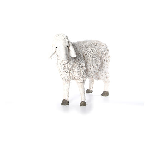 Schaf mit erhobenem Kopf der Linie Martino Landi für 120 cm Krippe 4