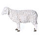 Schaf mit erhobenem Kopf der Linie Martino Landi für 120 cm Krippe s1