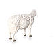 Estátua ovelha com cabeça levantada 65x20x50 cm Martino Landi para presépio com figuras de altura média 120 cm s3