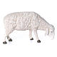 Santon mouton qui mange Martino Landi pour crèche 120 cm s1