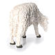 Santon mouton qui mange Martino Landi pour crèche 120 cm s4