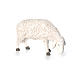 Estátua ovelha que pasta 70x20x53 cm Martino Landi para presépio 120 cm s2