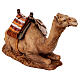 Kamel mit Sattel aus Kunstharz für 20 cm Krippe von Moranduzzo s3