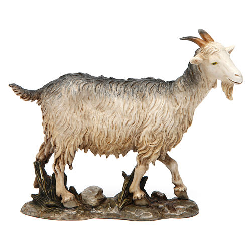 Cabra em pé 12 cm resina para Presépio Moranduzzo com figuras de altura média 20 cm 1
