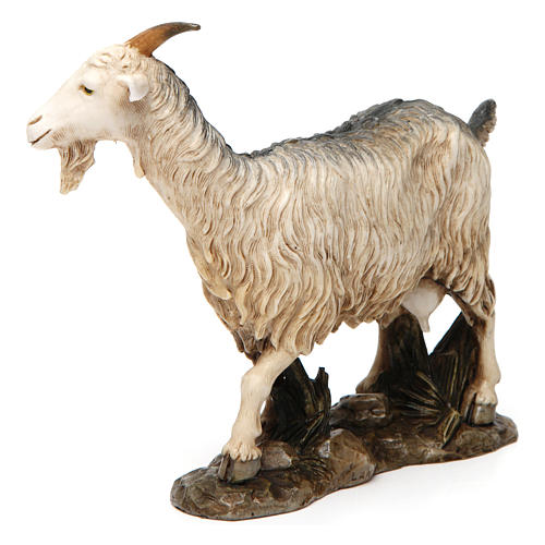 Cabra em pé 12 cm resina para Presépio Moranduzzo com figuras de altura média 20 cm 2