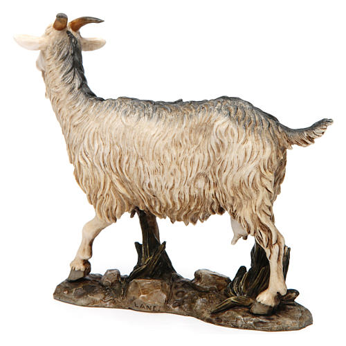 Cabra em pé 12 cm resina para Presépio Moranduzzo com figuras de altura média 20 cm 3