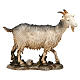 Cabra em pé 12 cm resina para Presépio Moranduzzo com figuras de altura média 20 cm s1
