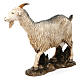 Cabra em pé 12 cm resina para Presépio Moranduzzo com figuras de altura média 20 cm s2