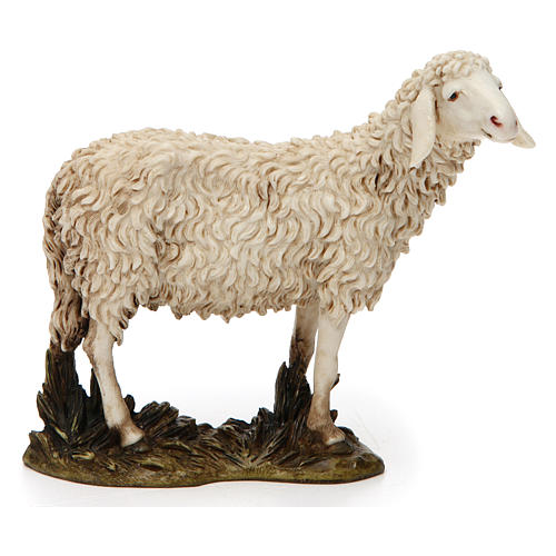 Schaf mit erhobenem Kopf aus Kunstharz für 20 cm Krippe von Moranduzzo 1