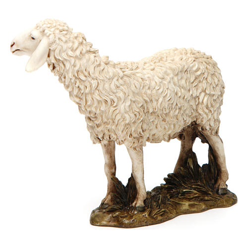 Schaf mit erhobenem Kopf aus Kunstharz für 20 cm Krippe von Moranduzzo 2