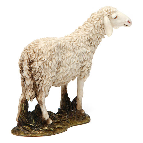 Schaf mit erhobenem Kopf aus Kunstharz für 20 cm Krippe von Moranduzzo 3