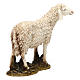 Schaf mit erhobenem Kopf aus Kunstharz für 20 cm Krippe von Moranduzzo s3