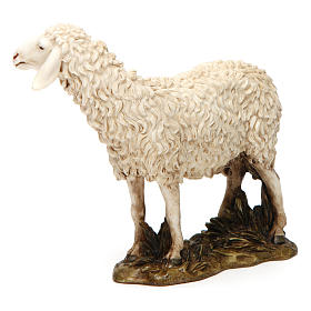 Owca z głową podniesioną żywica do szopki 20 cm Moranduzzo