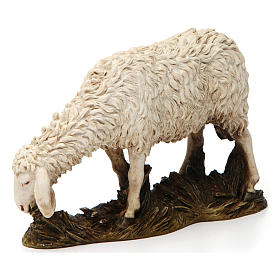Schaf weidend aus Kunstharz für 20 cm Krippe von Moranduzzo