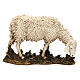 Schaf weidend aus Kunstharz für 20 cm Krippe von Moranduzzo s1