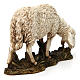 Schaf weidend aus Kunstharz für 20 cm Krippe von Moranduzzo s3