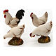 Conjunto 6 aves e coelhos de capoeira brancas para Presépio Moranduzzo com figuras de altura média 10 cm s2