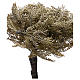 STOCK Albero di ulivo Fontanini per presepe 35 cm s2