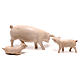 Família porcos para presépio Fontanini com figuras de 20 cm de altura média s2