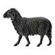 Black sheeps set of 3, 4cm, for Moranduzzo Nativity Scene with standing figurines of 10 cm s2