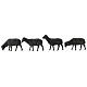 Black sheep for Moranduzzo Nativity scene 12 cm 4 pcs s1