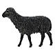 Black sheep for Moranduzzo Nativity scene 12 cm 4 pcs s4