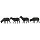 Owce czarne szopka 12 cm Moranduzzo, 4 sztuki s1