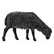 Owce czarne szopka 12 cm Moranduzzo, 4 sztuki s2