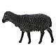 Owce czarne szopka 12 cm Moranduzzo, 4 sztuki s3