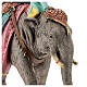 Conducente su elefante presepe Moranduzzo 13 cm resina s6