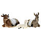 Complete Nativity set of 11 resin figurines 30 cm s8