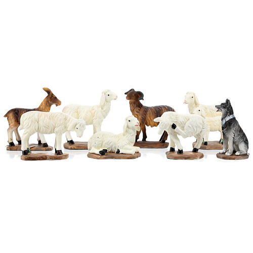 Set of sheeps and goats for Nativity Scene of 20 cm, painted resin 6