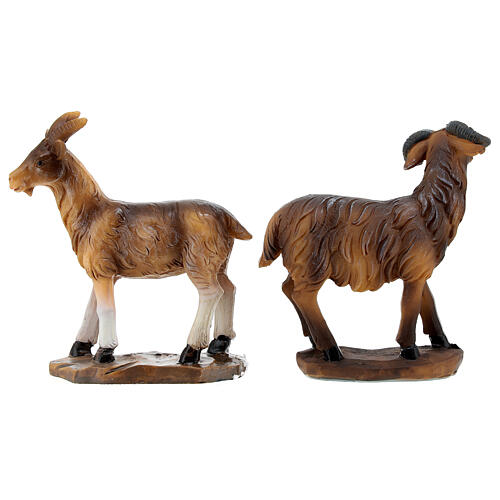 Set of sheeps and goats for Nativity Scene of 20 cm, painted resin 11