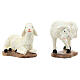 Set of sheeps and goats for Nativity Scene of 20 cm, painted resin s8