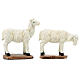 Set moutons chèvres crèche 20 cm résine peinte s4