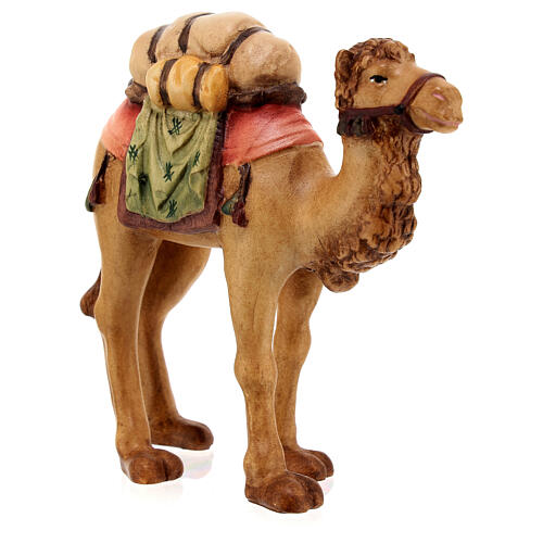 Camelo para presépio madeira pintada Raffaello do Val Gardena com figuras de 12 cm altura média 4