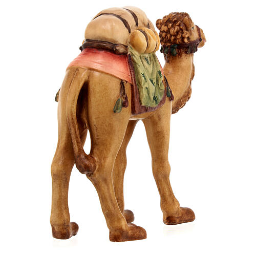 Camelo para presépio madeira pintada Raffaello do Val Gardena com figuras de 12 cm altura média 5